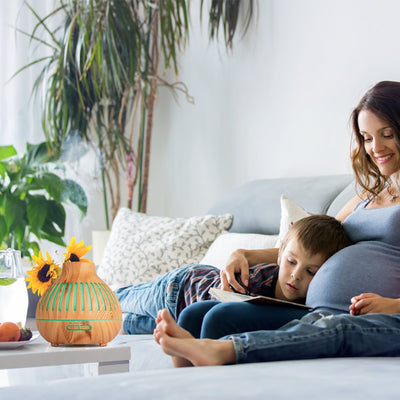 New 400ml Wood Essential Oil Diffuser Air Humidifier